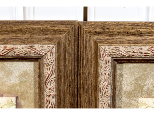 Pair Of S. Browne & Co. Botanical Giclees With Frames