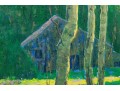 Gilt Framed Oil On Canvas, Cottage In The Woods