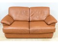 Bianchi & Co. Italian Leather Loveseat Sova