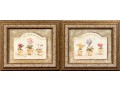 Pair Of S. Browne & Co. Botanical Giclees With Frames