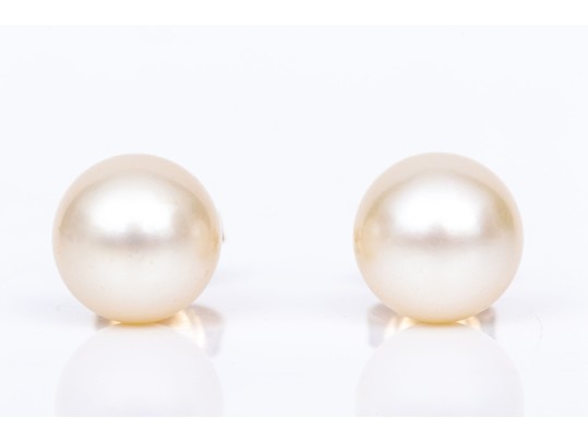 14k Yellow Gold Classic 8.5mm Cultured Pearl Stud Earrings