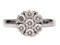 18k White Gold Pretty Round Diamond Cluster Ring, App. 0.70 TCW, Size 7