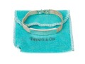 Tiffany & Co. Sterling Silver Striking Mesh Link Id Style Bracelet