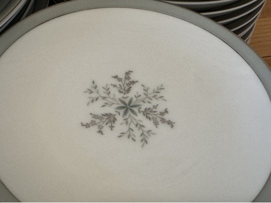 Noritake China “Lucille” Pattern Service