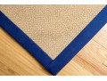 Blue Trimmed Carpet, 18’-10” X 12'-1/4”