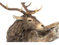 Mill Creek Studios “The Challenge” Ltd. Ed. Sculpture Of An Elk