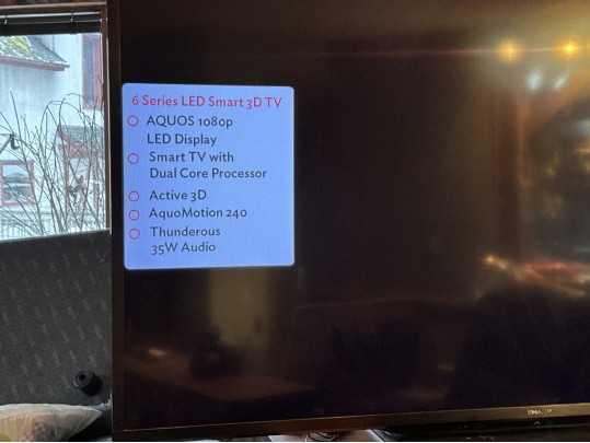 Sharp 90” Flat Screen Television