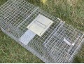 Safeguard Animal Trap