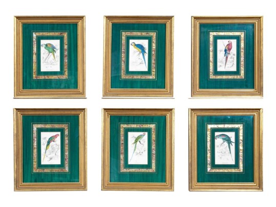 Six Ornithological Engravings, 19th C.