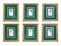 Six Ornithological Engravings, 19th C.