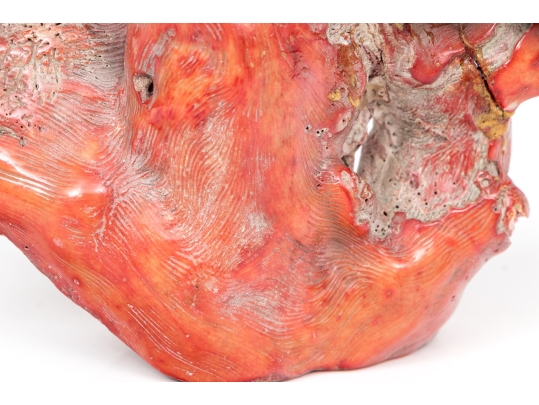 Vintage Natural Red Coral Specimen