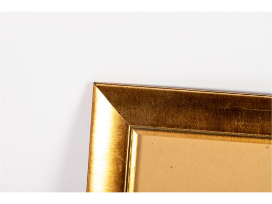 Framed Chinese White Blossom Watercolor On Silk 