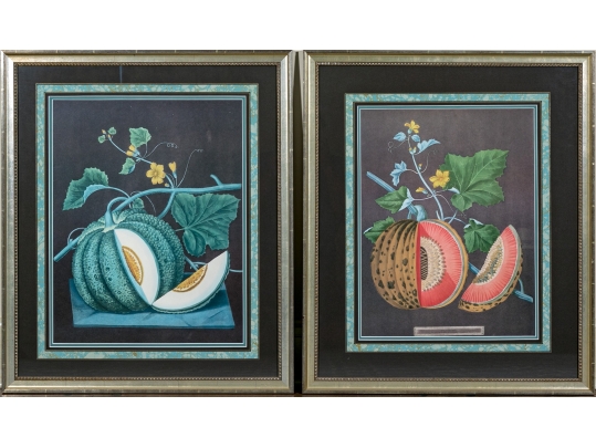 After George Brookshaw (British, 1751-1823) Prints Of Melons