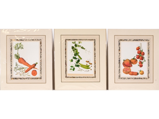 Set Of Fifteen Decorative Vegetable And Fruit Prints, 20th C. 