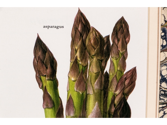 Set Of Fifteen Decorative Vegetable And Fruit Prints, 20th C. 