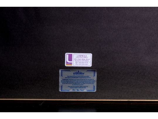 Photographic Print, Cheetah Bust Close Up