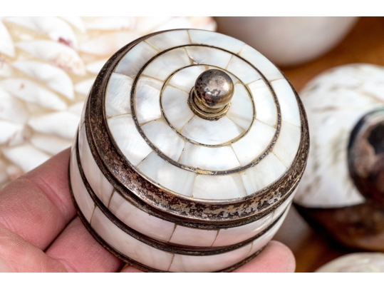 Collection Of Shells, Including Silver Dipped Shells