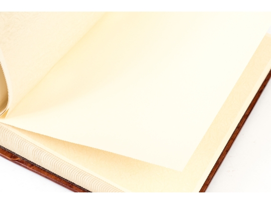 Florentia Leather Embossed Picture Album