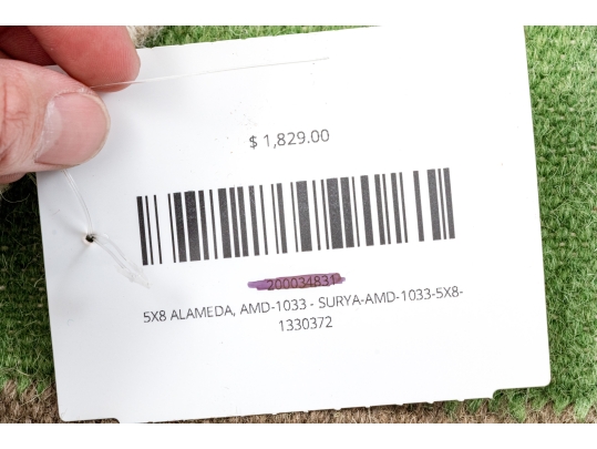 Hand Woven Wool 'Alameda' Surya Carpet, 8' X 5', New