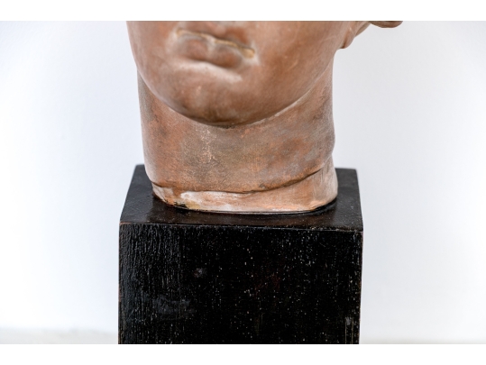 Neoclassical Terracotta Head On Stand