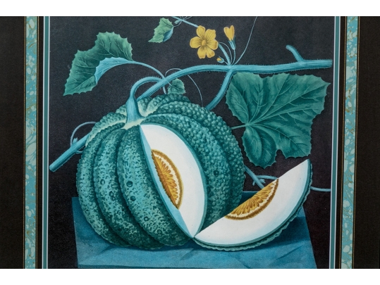 After George Brookshaw (British, 1751-1823) Prints Of Melons