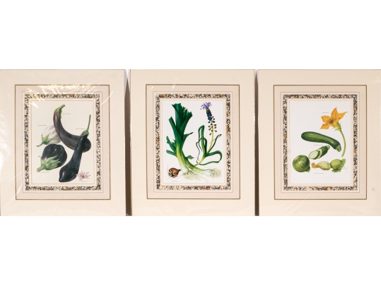 Set Of Fifteen Decorative Vegetable And Fruit Prints, 20th C. 