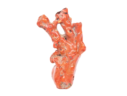 Vintage Natural Red Branch Coral Specimen 