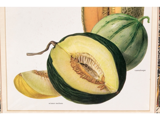 Set Of Fifteen Decorative Vegetable And Fruit Prints, 20th C. 
