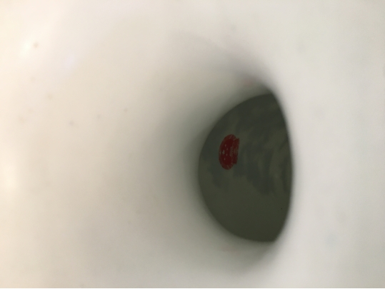 Large Chinese Blue And White Porcelain Vase