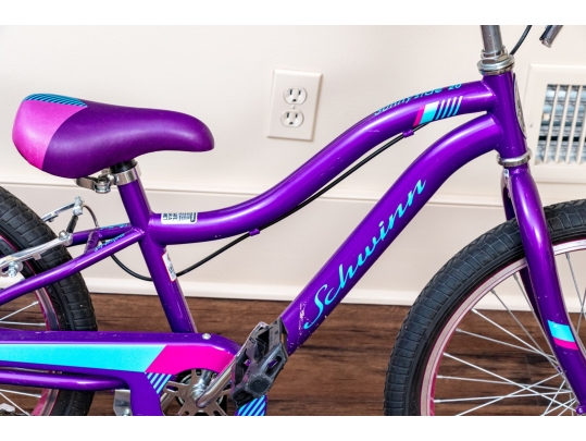 Schwinn Sunnyside And Specialized Hotrock Girls' Bicycles