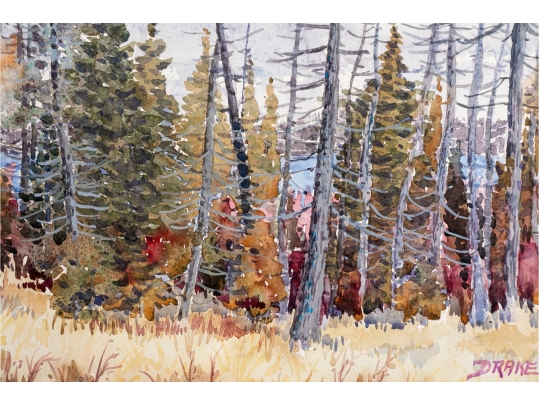 William L. Drake (Am., NJ, 1929-2019) Watercolor On Paper, Deer Lake, Ontario