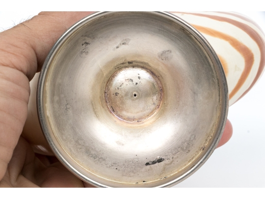 Nautilus Shell Specmin With Pewter Footed Base