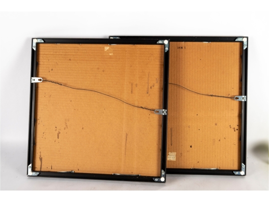 Pair Of Framed Chinese Floral/Butterfly Prints