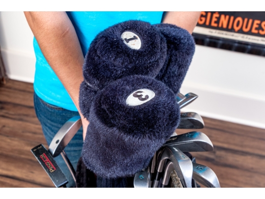 Set Of Fifteen Mizuno Golf Clubs With Nike Golf Bag