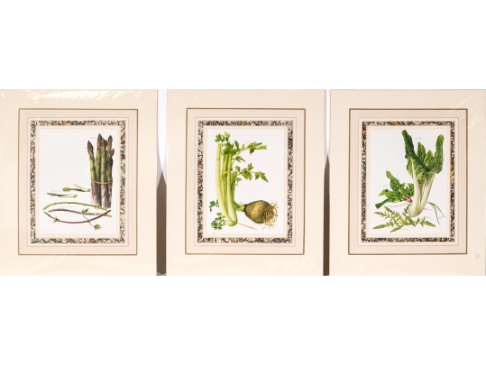 Set Of Fifteen Decorative Vegetable And Fruit Prints, 20th C. 