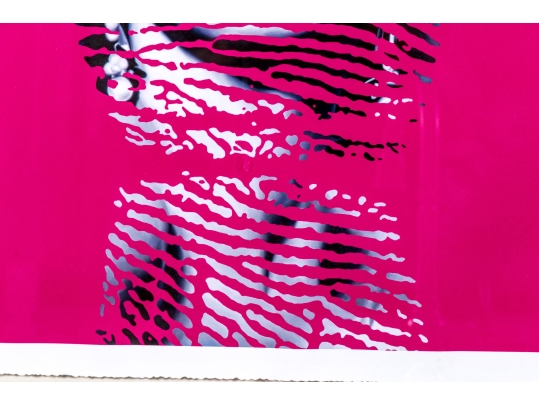 Zou Cao Ltd Ed Screen Print Marilyn Monroe