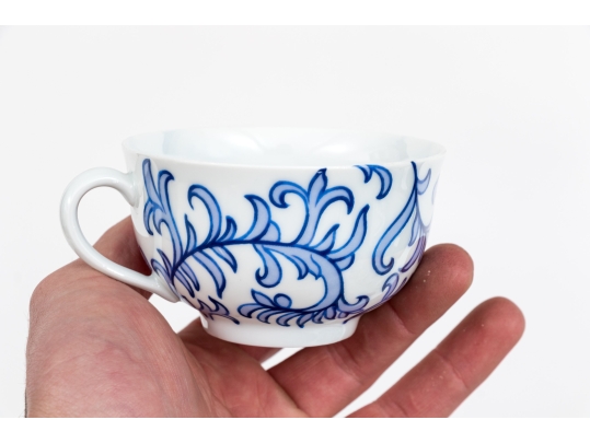 Haviland Limoges 