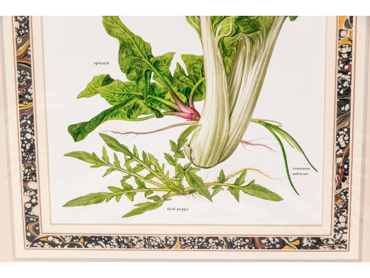 Set Of Fifteen Decorative Vegetable And Fruit Prints, 20th C. 