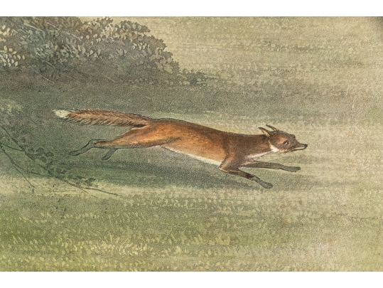 19th Century English Equestrian Color Engraving, Moore's Tally Ho: To The Sports, The Noble Tips