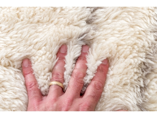 Goodweave Certified Restoration Hardware Teen Rug Wool, 12’ X 9’-2”