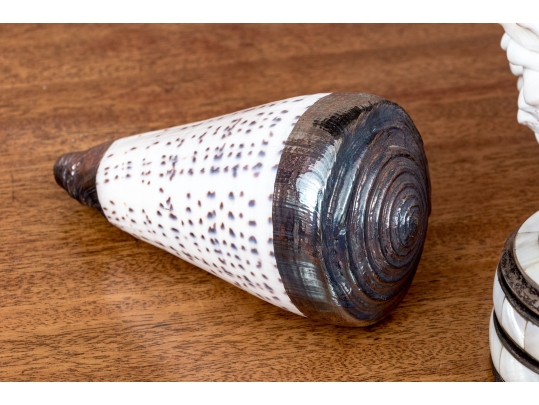 Collection Of Shells, Including Silver Dipped Shells