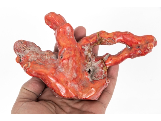 Vintage Natural Red Coral Specimen