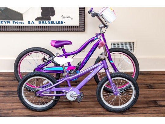 Schwinn Sunnyside And Specialized Hotrock Girls' Bicycles