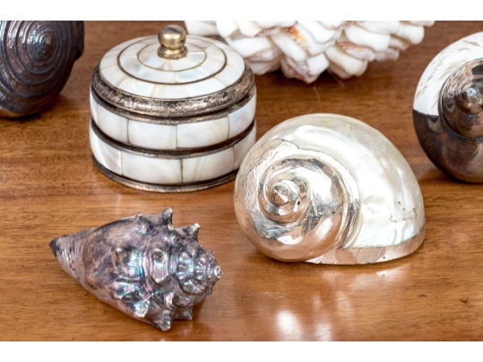 Collection Of Shells, Including Silver Dipped Shells