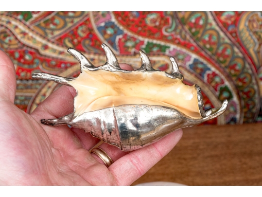 Collection Of Shells, Including Silver Dipped Shells