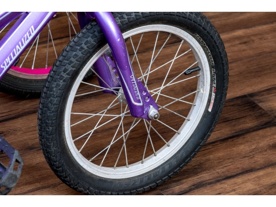 Schwinn Sunnyside And Specialized Hotrock Girls' Bicycles