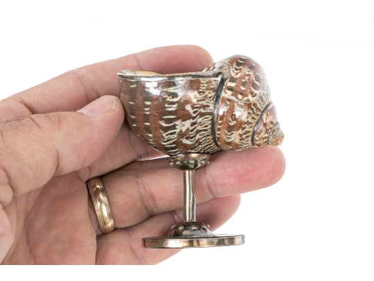Group Of Six Fine Decorative Silver Clad Shells With Ruzzetti Italy