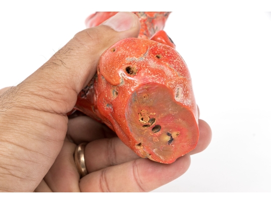 Vintage Natural Red Branch Coral Specimen 