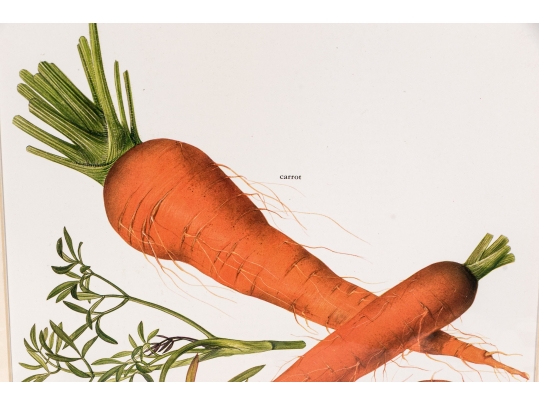 Set Of Fifteen Decorative Vegetable And Fruit Prints, 20th C. 