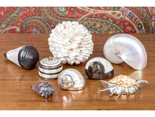 Collection Of Shells, Including Silver Dipped Shells